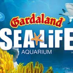 Gardaland SEA LIFE Aquarium