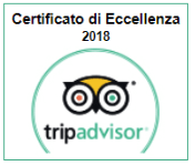 Tripadvisor Excellence